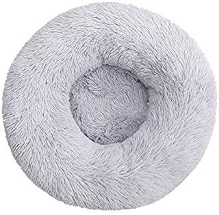 Recensioni di letto per cani
