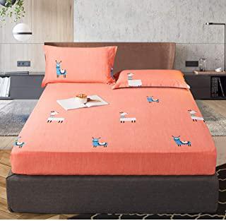 Recensioni di letto singolo doppio