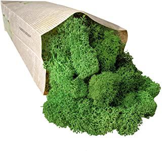 Recensioni di quadri con foglie secche