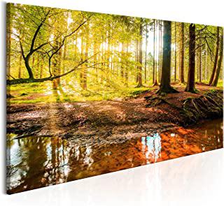 Recensioni di quadro bosco