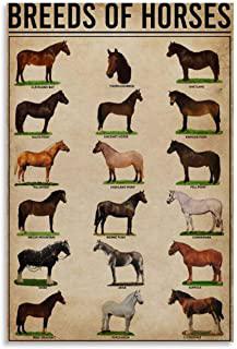 Recensioni di quadro cavallo