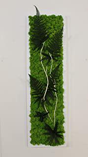 Recensioni di quadro giardino verticale