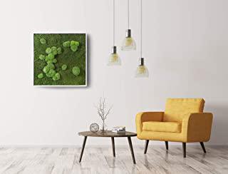 Recensioni di quadro lichene stabilizzato