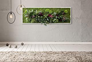 Recensioni di quadro muschio