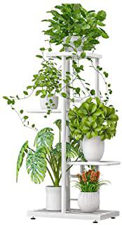 Recensioni di scaffali da giardino