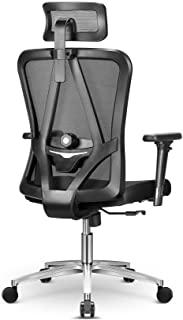 Recensioni di sedia ergonomica cinius
