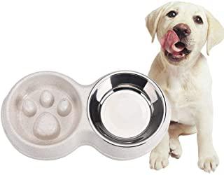 Recensioni di ciotola doppia per cani