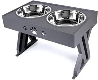 Recensioni di ciotole rialzate per cani