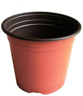 Recensioni di vasi con bottiglie di plastica