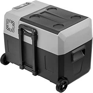 Recensioni di frigo portatile elettrico per auto