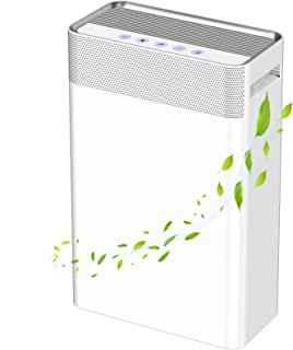 Recensioni di ionizzatore