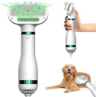 Recensioni di phon per cani