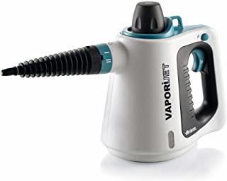 Recensioni di pulitore a vapore professionale per auto