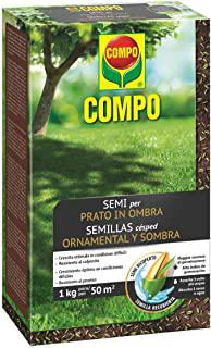 Recensioni di alberi da giardino per ombra