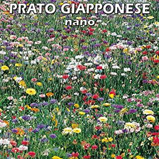 Recensioni di alberi sempreverdi alberi da giardino