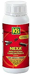 Recensioni di antal insetticida