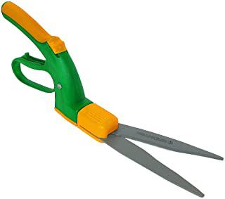 Recensioni di arbusti da giardino