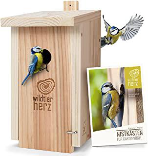 Recensioni di casette di legno per giardino