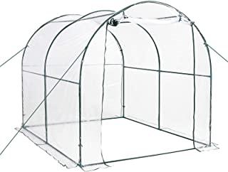 Recensioni di fiori da giardino invernali