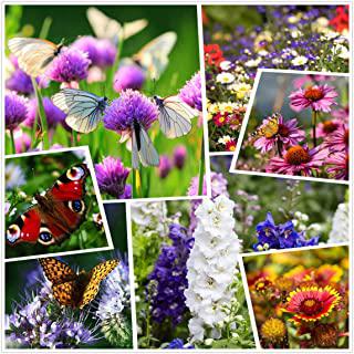 Recensioni di fiori di giardino