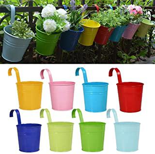 Recensioni di fiori giardino