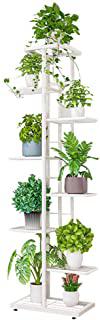 Recensioni di fiori per giardino