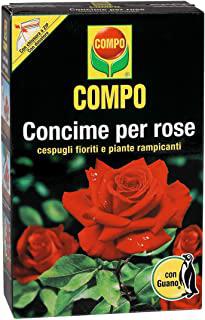 Recensioni di fioriere per rampicanti