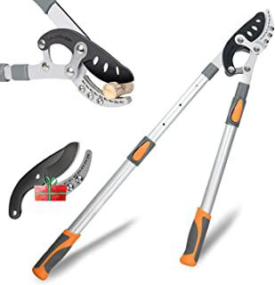 Recensioni di forbice potatura telescopica