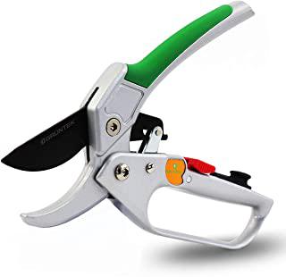 Recensioni di forbici da giardino