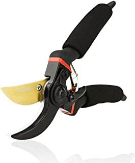 Recensioni di forbici da potatura professionali