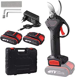 Recensioni di forbici potatura elettriche