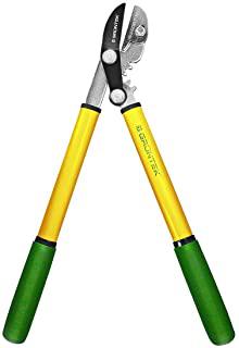 Recensioni di forbici potatura professionali