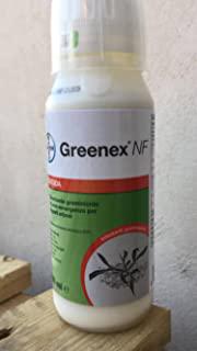 Recensioni di graminacee da giardino
