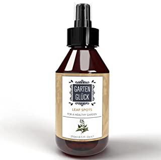Recensioni di insetticida naturale per afidi
