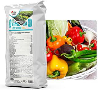 Recensioni di insetticida naturale per piante