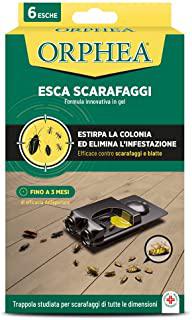 Recensioni di insetticida per blatte