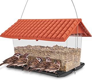 Recensioni di mangiatoia per uccelli
