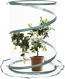 Recensioni di mini serre da giardino