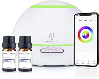 Recensioni di nebulizzatore per ambienti
