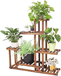 Recensioni di orchidee da giardino
