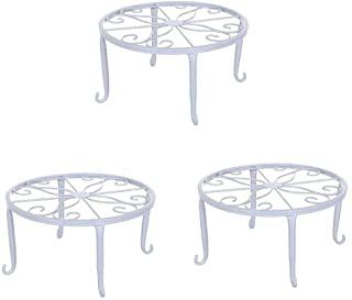 Recensioni di piante alto fusto da giardino
