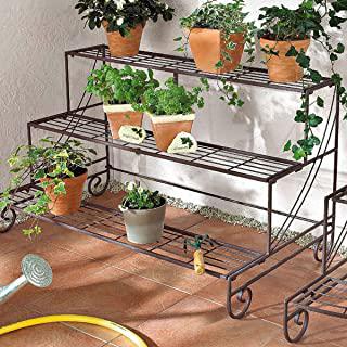 Recensioni di piante fiorite da giardino