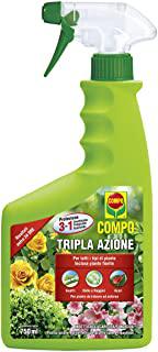 Recensioni di piretro insetticida