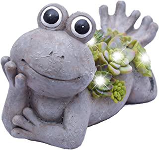 Recensioni di rana da giardino