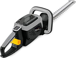 Recensioni di ryobi tagliasiepi