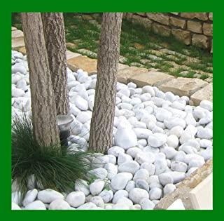Recensioni di sassi da giardino