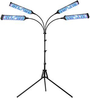 Recensioni di serra per orchidee