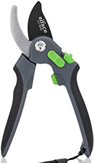 Recensioni di siepi per giardino