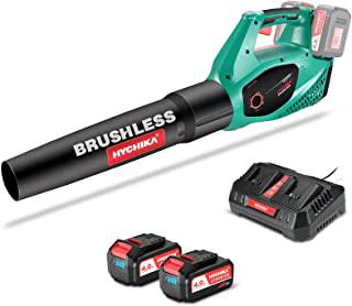 Recensioni di soffiatore a scoppio stihl