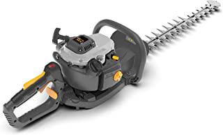 Recensioni di tagliasiepi a batteria telescopico